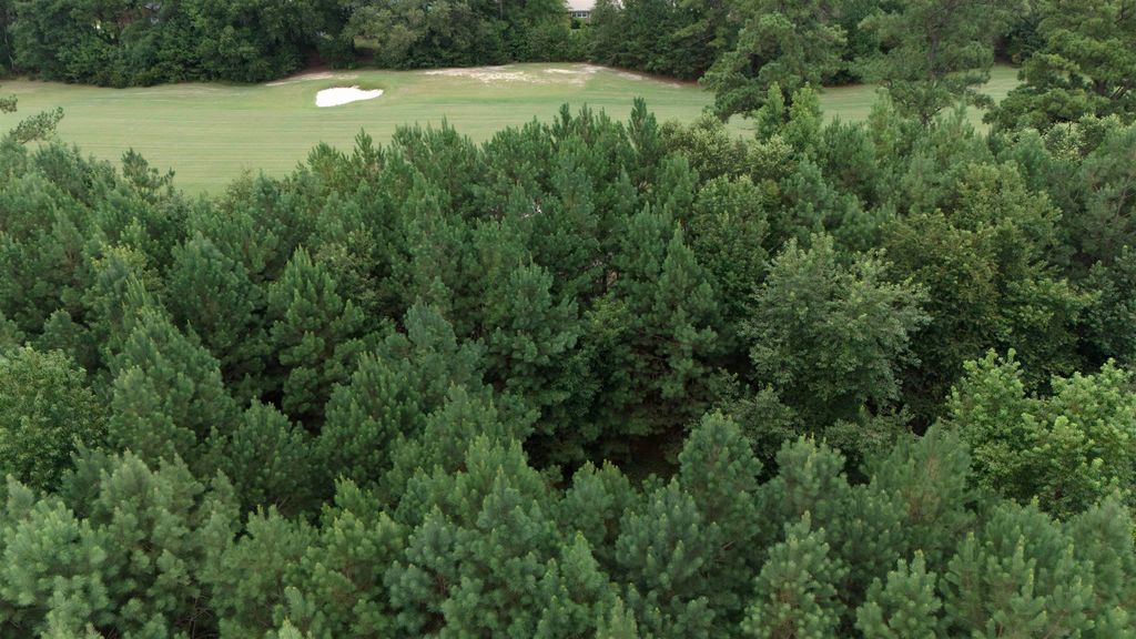 442 Pembroke Blvd., Johnsonville, SC 29555 — exterior