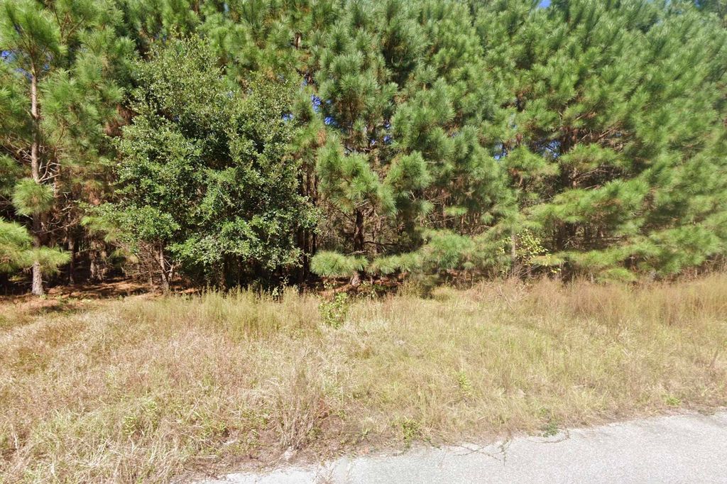 442 Pembroke Blvd., Johnsonville, SC 29555 — photo 4