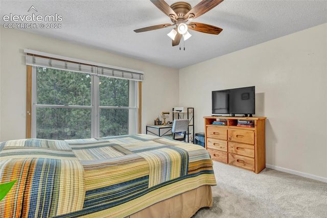 381 Raspberry Lane, Monument, CO 80132