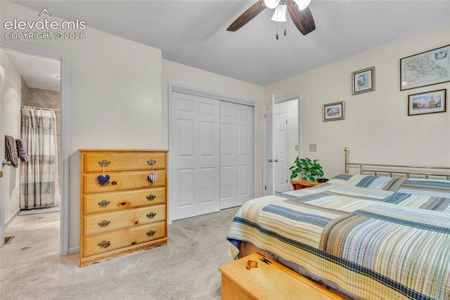 381 Raspberry Lane, Monument, CO 80132
