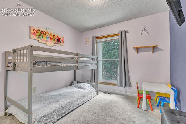381 Raspberry Lane, Monument, CO 80132