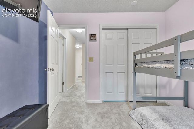 381 Raspberry Lane, Monument, CO 80132