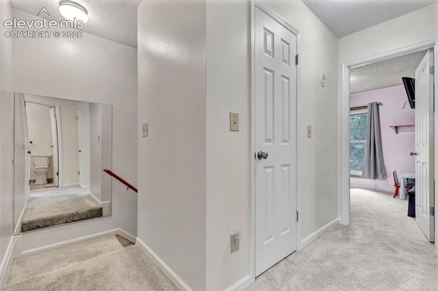381 Raspberry Lane, Monument, CO 80132