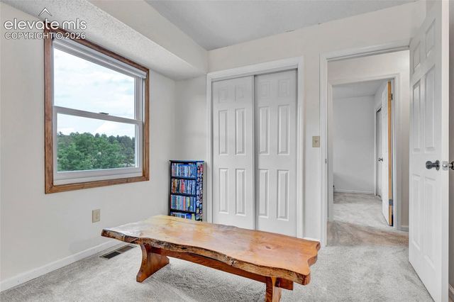 381 Raspberry Lane, Monument, CO 80132
