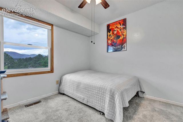 381 Raspberry Lane, Monument, CO 80132