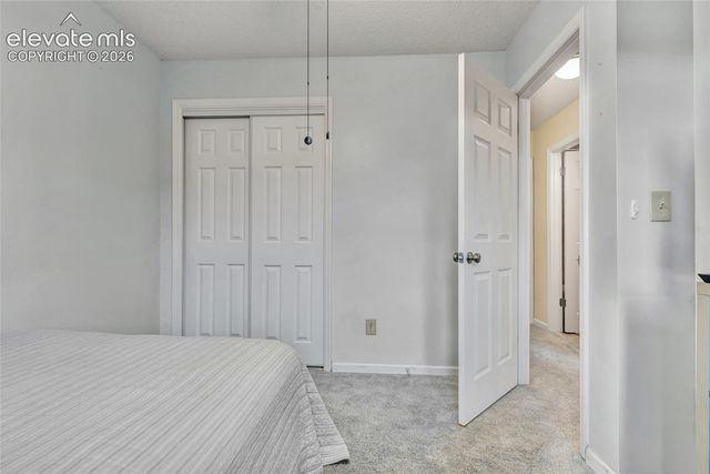 381 Raspberry Lane, Monument, CO 80132