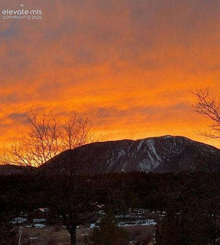 381 Raspberry Lane, Monument, CO 80132