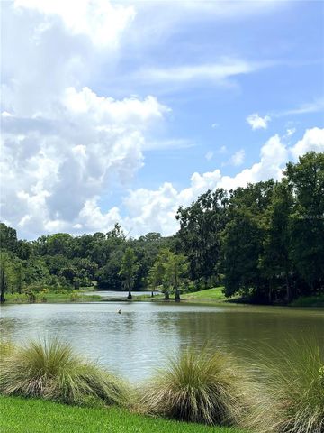 2115 SUZANNE DRIVE, Mount Dora, FL 32757