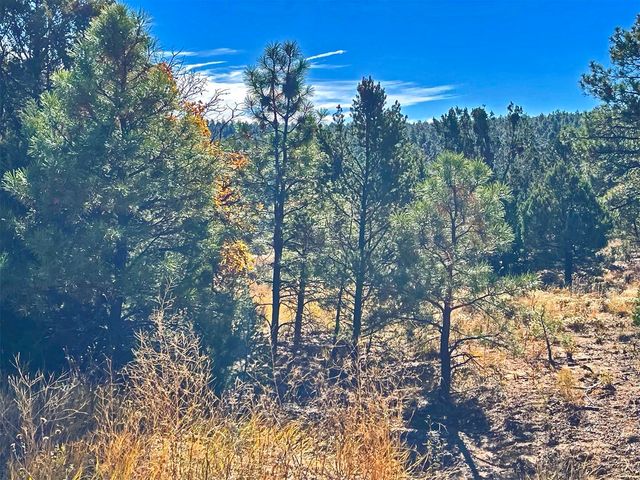 30 Verga Drive, Tijeras, NM 87059