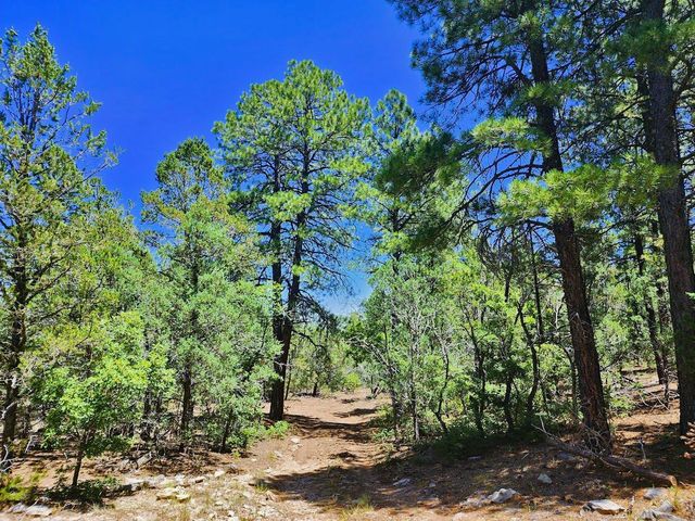 30 Verga Drive, Tijeras, NM 87059