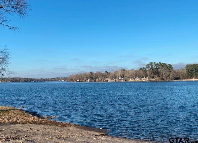 118 Piney Pt, Murchison, TX 75778