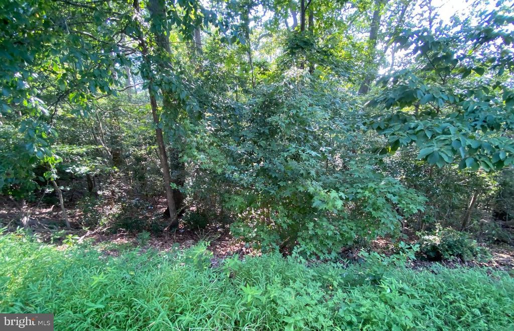 11525 SENORA LN, Lusby, MD 20657