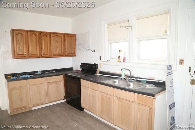 36 Louise Street, Highland Park, MI 48203