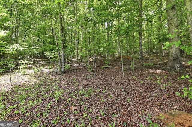 171 Laceola North Road, Cleveland, GA 30528