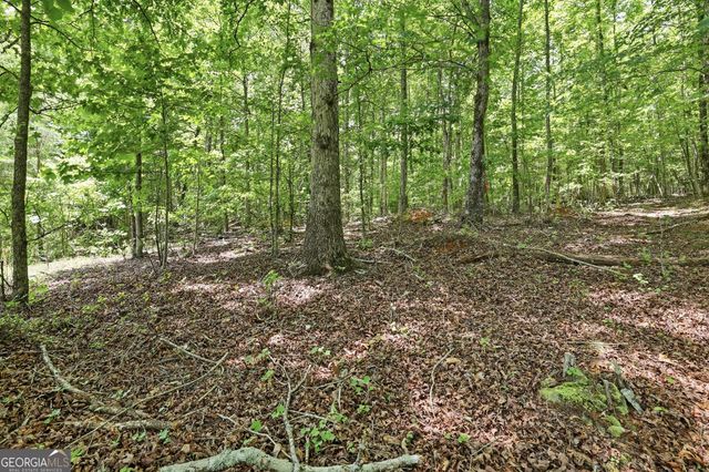 171 Laceola North Road, Cleveland, GA 30528