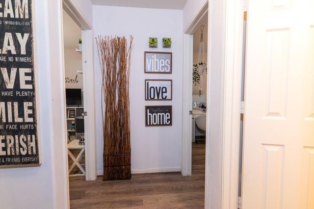 28830 Bosque River Court, Spring, TX 77386