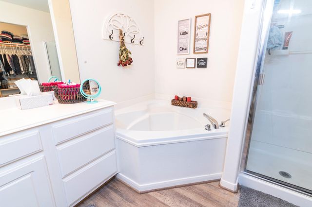 28830 Bosque River Court, Spring, TX 77386