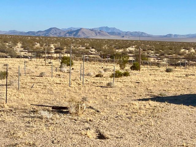 104 Joshua Tree Road, Johnson Valley, CA 92285