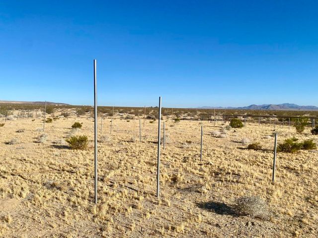 104 Joshua Tree Road, Johnson Valley, CA 92285