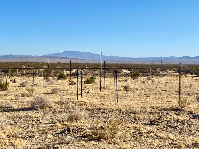 104 Joshua Tree Road, Johnson Valley, CA 92285