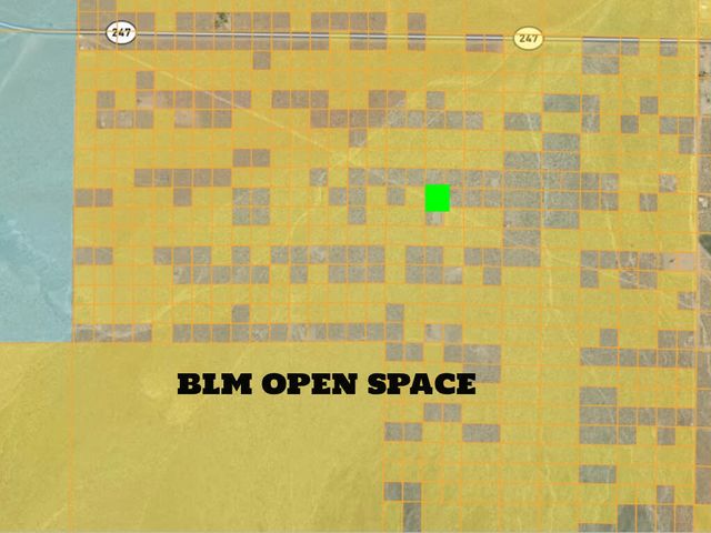 104 Joshua Tree Road, Johnson Valley, CA 92285