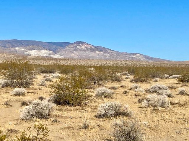 104 Joshua Tree Road, Johnson Valley, CA 92285
