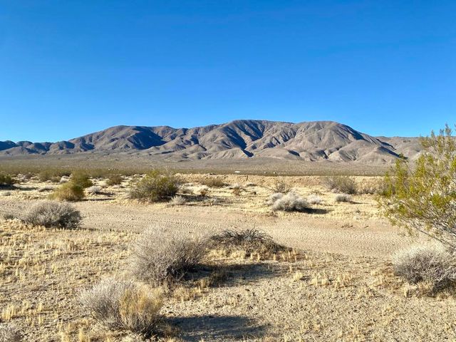 104 Joshua Tree Road, Johnson Valley, CA 92285
