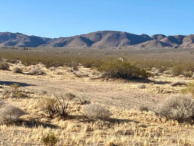 104 Joshua Tree Road, Johnson Valley, CA 92285