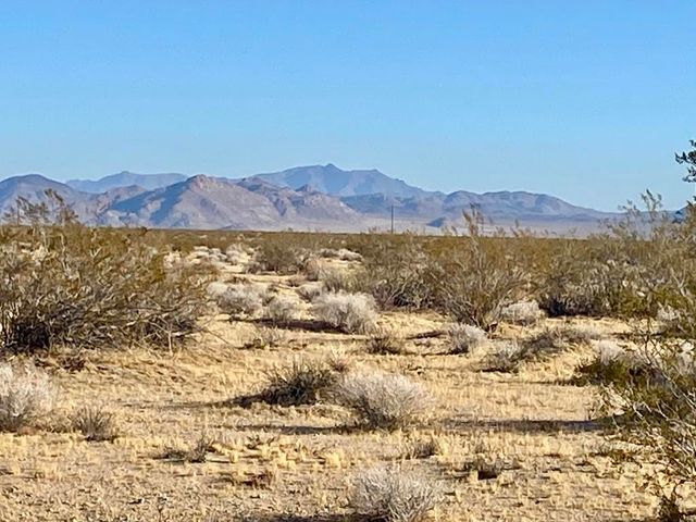 104 Joshua Tree Road, Johnson Valley, CA 92285
