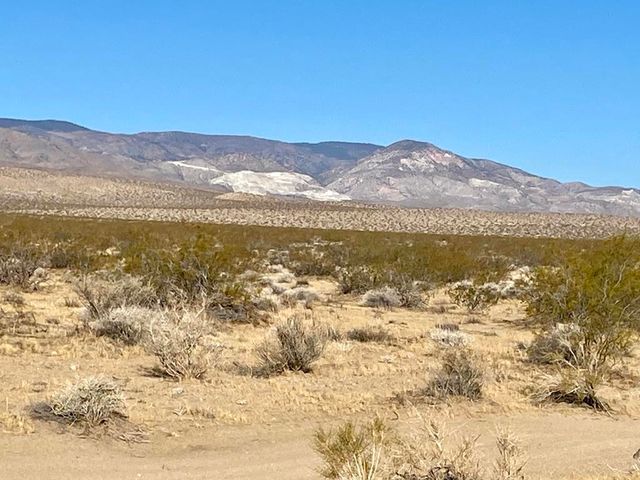 104 Joshua Tree Road, Johnson Valley, CA 92285