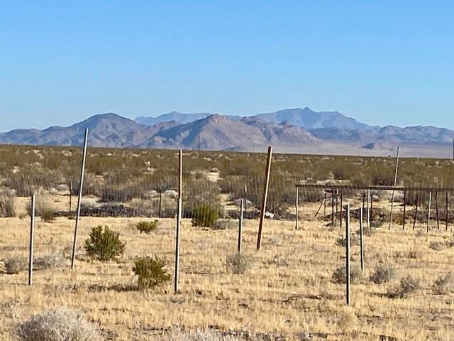 104 Joshua Tree Road, Johnson Valley, CA 92285
