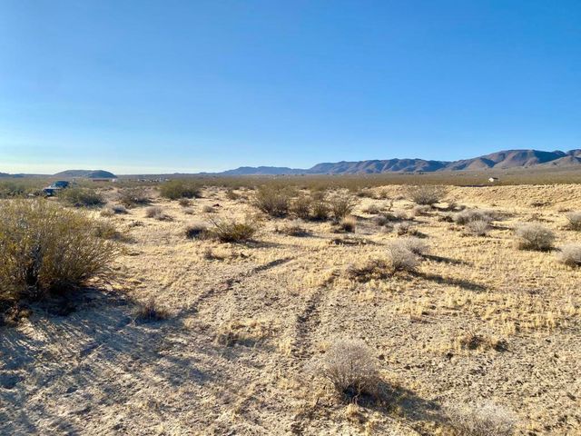 104 Joshua Tree Road, Johnson Valley, CA 92285