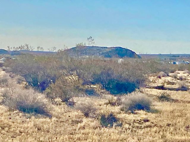 104 Joshua Tree Road, Johnson Valley, CA 92285