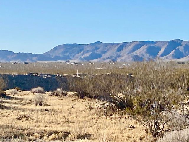 104 Joshua Tree Road, Johnson Valley, CA 92285