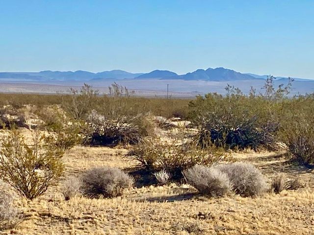 104 Joshua Tree Road, Johnson Valley, CA 92285