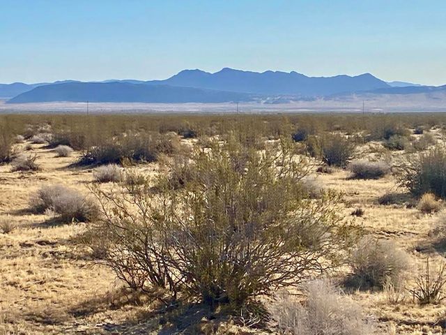 104 Joshua Tree Road, Johnson Valley, CA 92285