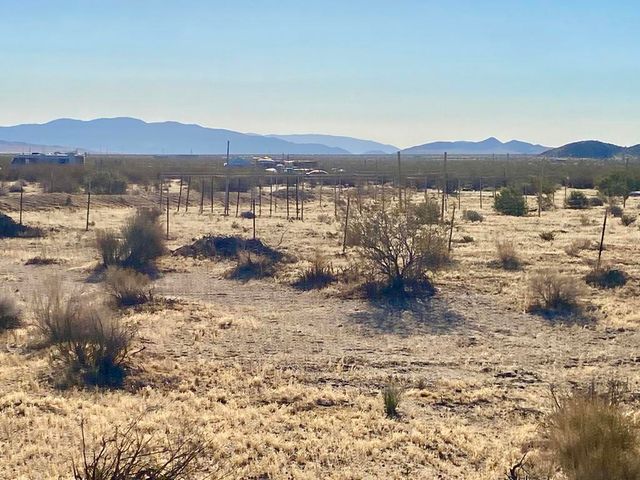 104 Joshua Tree Road, Johnson Valley, CA 92285