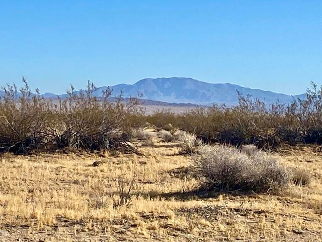 104 Joshua Tree Road, Johnson Valley, CA 92285