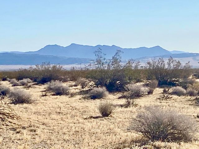 104 Joshua Tree Road, Johnson Valley, CA 92285