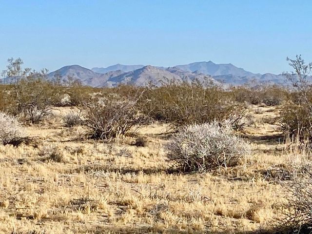 104 Joshua Tree Road, Johnson Valley, CA 92285