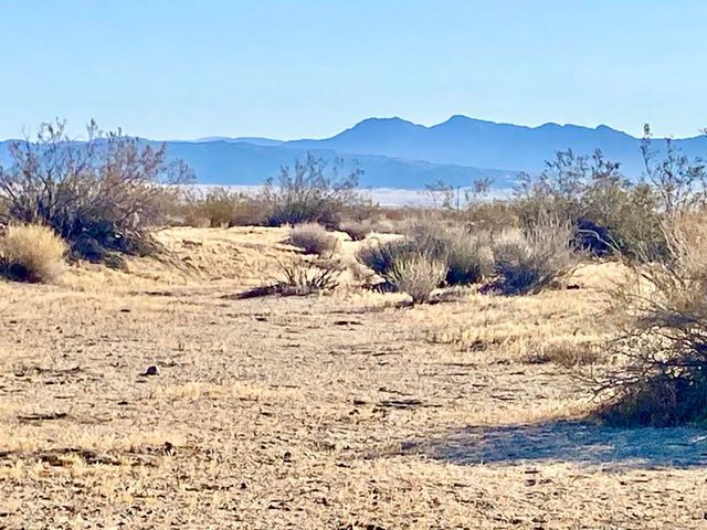 104 Joshua Tree Road, Johnson Valley, CA 92285