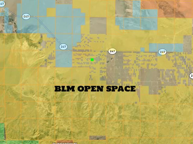 104 Joshua Tree Road, Johnson Valley, CA 92285