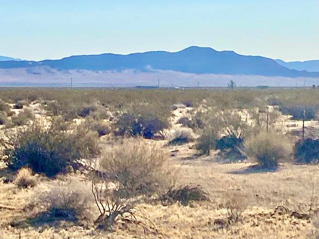 104 Joshua Tree Road, Johnson Valley, CA 92285