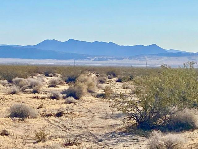 104 Joshua Tree Road, Johnson Valley, CA 92285