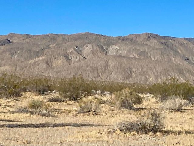 104 Joshua Tree Road, Johnson Valley, CA 92285