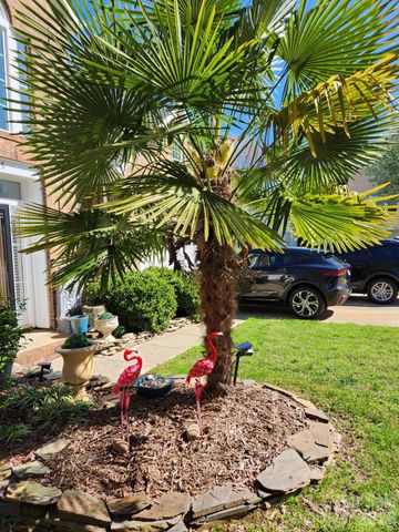 17205 Asti Court, Cornelius, NC 28031