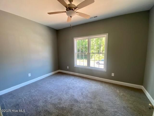 213 Willowbrook Drive, Pikeville, NC 27863