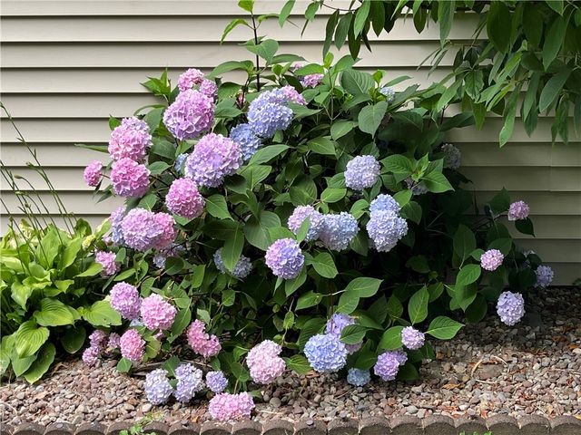 1646 Glendowan, Webster, NY 14580