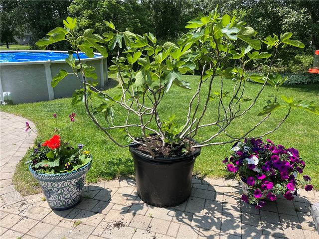 1646 Glendowan, Webster, NY 14580