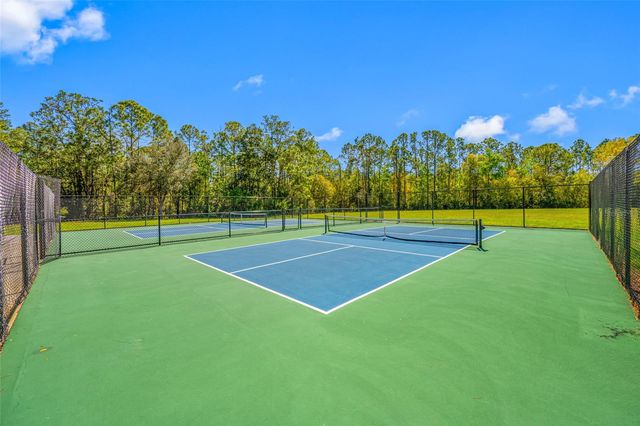 14606 CORAL BERRY DRIVE, Tampa, FL 33626